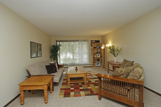 The Village Apartments in Forest Lake, MN - Foto de edificio - Interior Photo