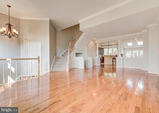 20339 Brentmeade Terrace in Sterling, VA - Building Photo - Building Photo