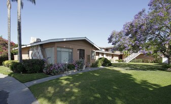 1131 W Fay Ln in Anaheim, CA - Building Photo