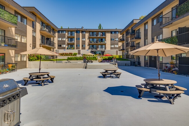 Braemar Gardens in Coquitlam, BC - Building Photo - Building Photo
