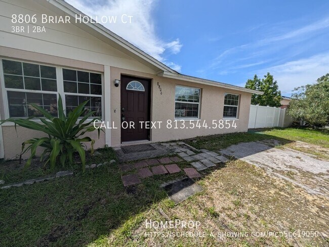 8806 Briar Hollow Ct in Tampa, FL - Building Photo - Building Photo