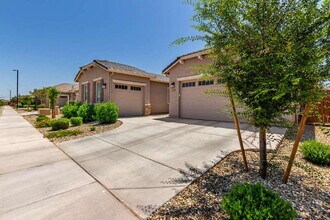 24393 N 169th Dr in Surprise, AZ - Building Photo - Building Photo