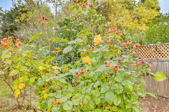 158 Sierra Pl in Sonoma, CA - Building Photo - Building Photo