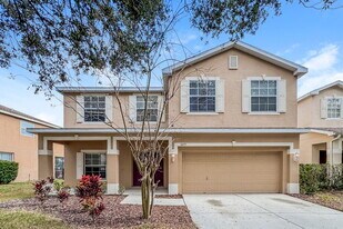 11255 Creek Haven Dr in Riverview, FL - Building Photo