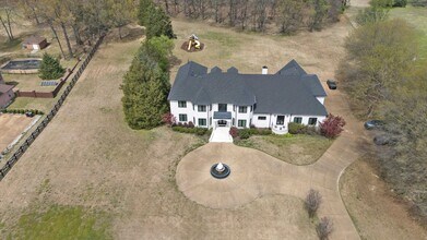 9376 Forest Wind Cove in Collierville, TN - Building Photo - Building Photo