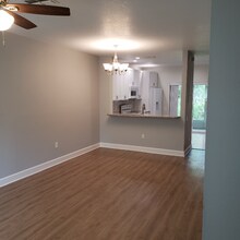 8671 Hunters Key Cir in Tampa, FL - Foto de edificio - Building Photo