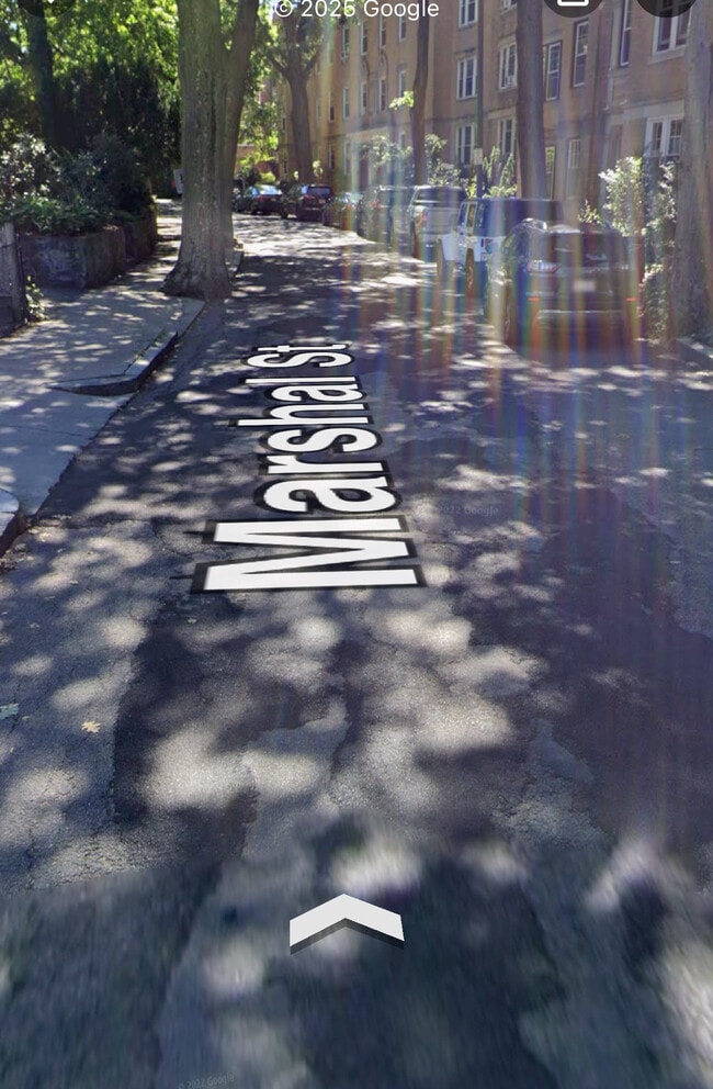 property at 66 Marshal St