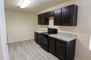 3557 Giorgio Pastel Pl in Katy, TX - Building Photo