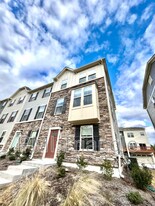 321 Poplar Leaf Way in Cary, NC - Building Photo