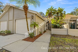 4392 Brooker Creek Dr in Palm Harbor, FL - Building Photo - Building Photo