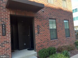 44682 Provincetown Dr in Ashburn, VA - Building Photo