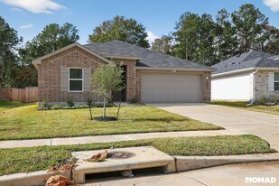 24756 Sage Mdws Wy in Magnolia, TX - Building Photo