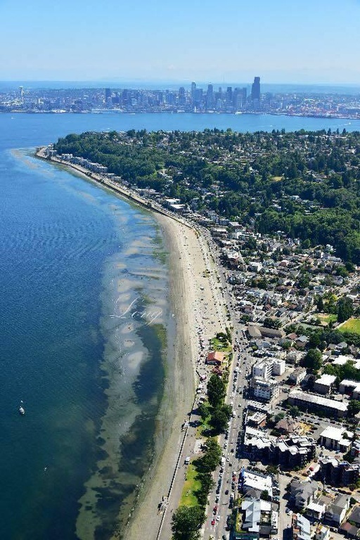 Alki Apartments in Seattle, WA - Building Photo - Building Photo