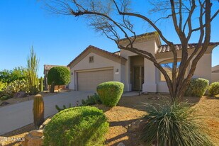 15707 E Cactus Dr in Fountain Hills, AZ - Building Photo