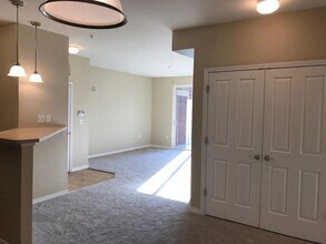 804 Summer Hawk Dr in Longmont, CO - Building Photo - Building Photo
