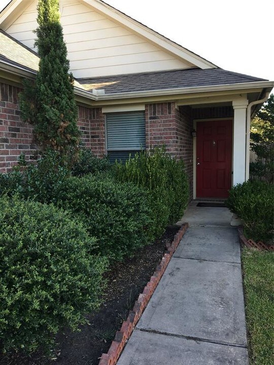 3018 Rustling Chestnut St in Spring, TX - Building Photo