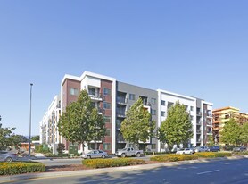 Oak Grove in San Jose, CA - Building Photo