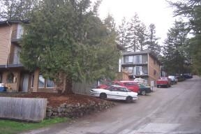 Sunrise Vista in Silverdale, WA - Foto de edificio - Building Photo