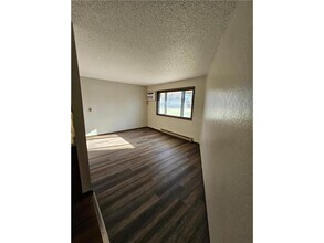 551 Lakeview Rd in Heron Lake, MN - Foto de edificio - Building Photo