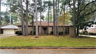 25323 Lynbriar Ln in Spring, TX - Building Photo