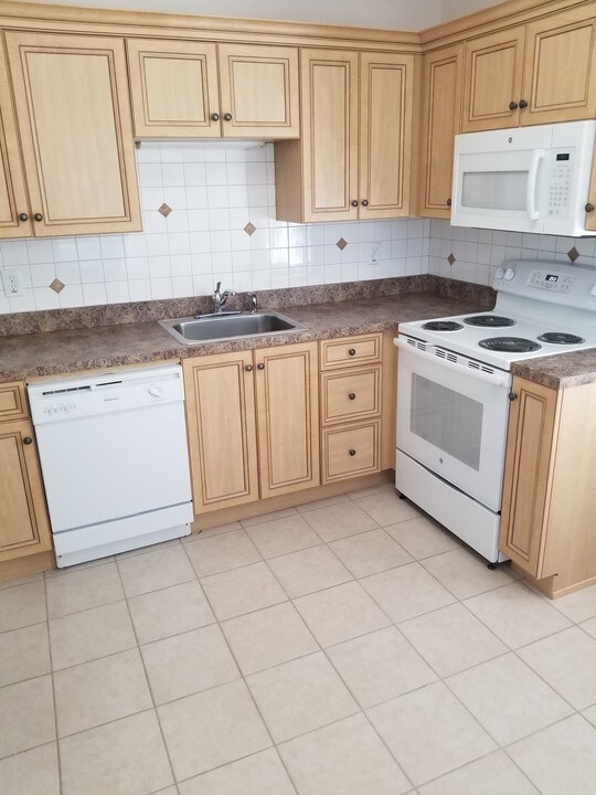 1101 Rambler Ave in Pottstown, PA - Building Photo