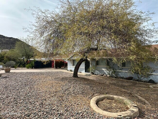 9414 N 17th St in Phoenix, AZ - Building Photo - Building Photo