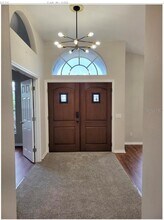 1730 Lady Palm Ct in Trinity, FL - Building Photo - Building Photo