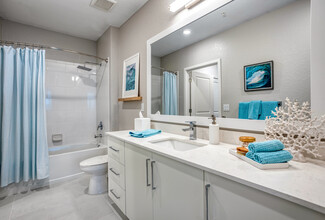 Marina Walk Apartments in St. Petersburg, FL - Building Photo - Interior Photo