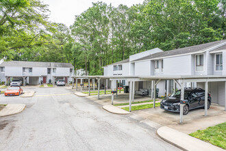 Willow Oaks in Hampton, VA - Foto de edificio - Building Photo