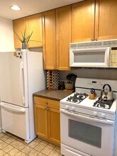 711 Austin St in Evanston, IL - Building Photo - Building Photo