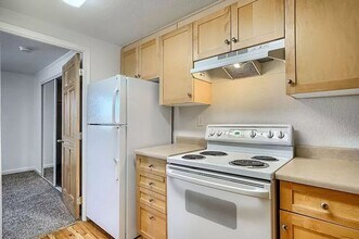 336 N Grant St in Denver, CO - Building Photo - Building Photo