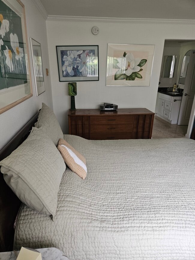 property at 804 Ronda Mendoza