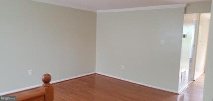 10612 Tuppence Ct in Rockville, MD - Building Photo - Building Photo