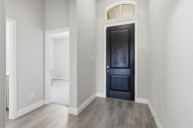 2001 Oleander St in Hickory Creek, TX - Building Photo - Building Photo