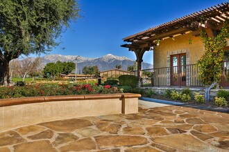 The Terrace Apartments in Rancho Cucamonga, CA - Foto de edificio - Building Photo