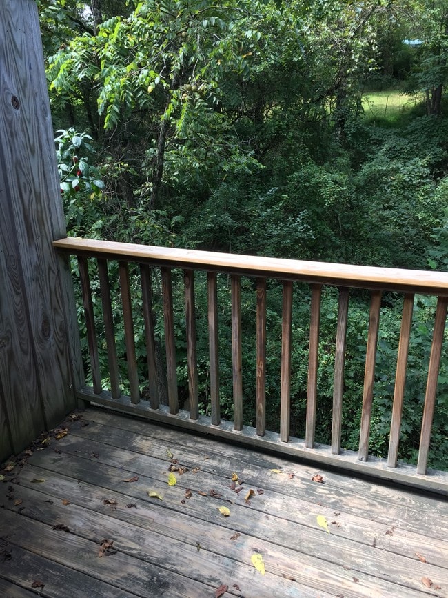 222 New Stock Rd, Unit B in Asheville, NC - Building Photo - Building Photo