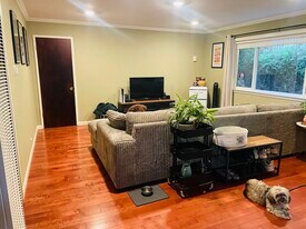 1810 Francisco St, Unit 1 in Berkeley, CA - Building Photo