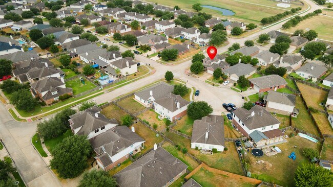 10003 Lynette Falls Dr in Houston, TX - Building Photo - Building Photo