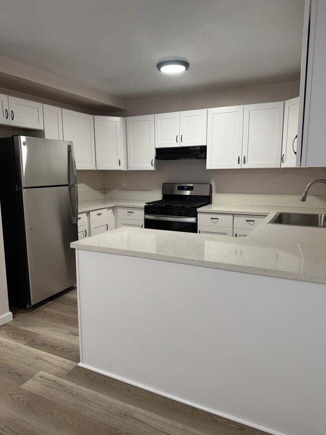 3117-3119 Christy Wy in Spring Valley, CA - Building Photo - Building Photo