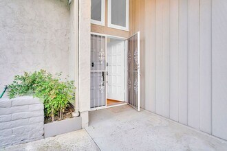 2229 Camino Preciosa Sur in San Diego, CA - Building Photo - Building Photo