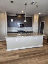 1017 Home Stretch Ln in Minden, NV - Building Photo - Building Photo