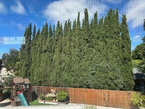 9275 El Caminito in Gilroy, CA - Building Photo - Building Photo