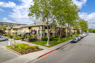 The Meadows in Santa Rosa, CA - Foto de edificio - Building Photo