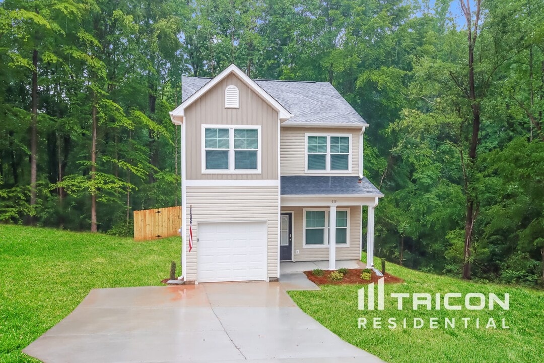 113 Sunwood Ct in Statesville, NC - Building Photo
