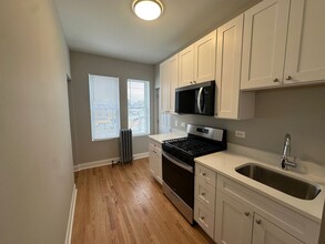 1507 W Schreiber Ave, Unit 3 in Chicago, IL - Building Photo - Building Photo