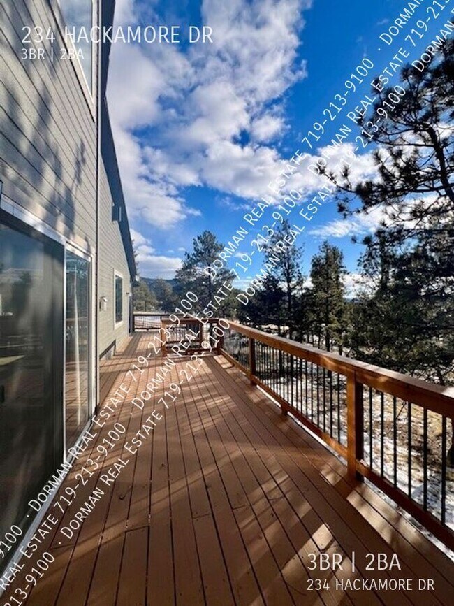 234 Hackamore Dr in Florissant, CO - Building Photo - Building Photo