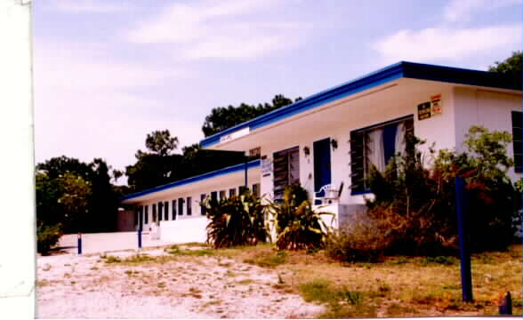 39720 US Highway 19 N in Tarpon Springs, FL - Building Photo - Building Photo