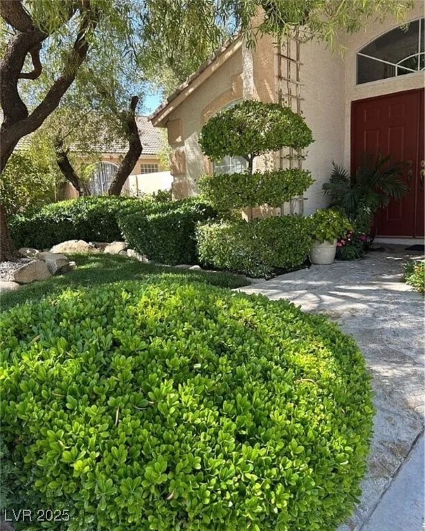 property at 1782 Castro Hill Ave