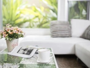 Mendocino Apartments in Concord, CA - Building Photo - Building Photo