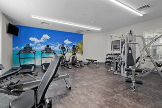 New Tampa Palms in Tampa, FL - Building Photo - Building Photo